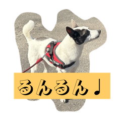 kainushi_20251230220022