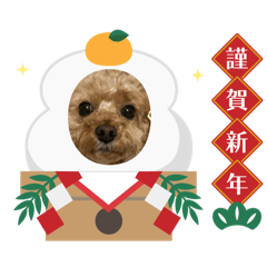 hitomin_20251230203252