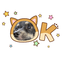 shino_20251230220209