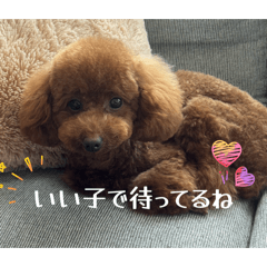 STAMP_20251230220145