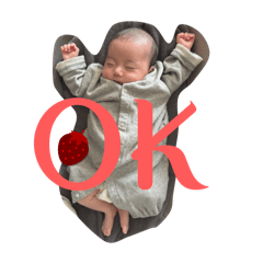 maita_miyamiya_20251230220335