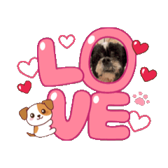 Jack Music Studio_20251231024656