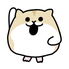 borakoro_20251230210756