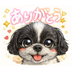 rei_20251230210544