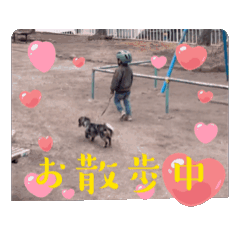 tomtom_20251231014601