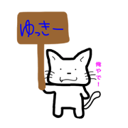 Yukkii of cat