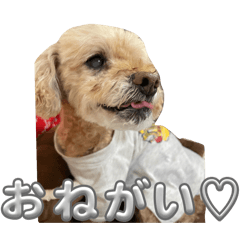 Coron_20251230204717