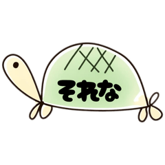 momo_20251230144311
