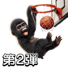 キッズゴリラ×バスケットボール2！