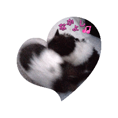 hamhamLAND_20251230180925