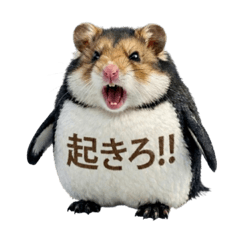 aiueokazoku_20251230183827