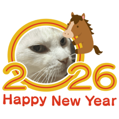 shiro_20251230190131