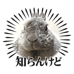 mochi_20251230190958