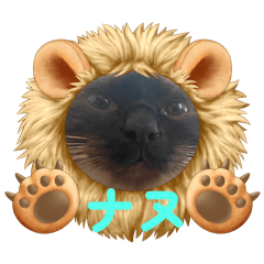 zaori_20251230193009