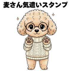 トイプードルの麦さん3 言わないという返事