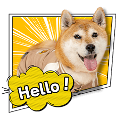 谷口家の小太郎ちゃん4