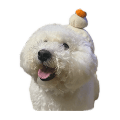 erumo_20251231000929