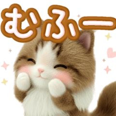 ぽてっとふわふわ♡毎日のノルウェージャン