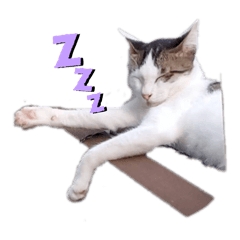 miiiiiii_20251230231745