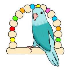 Sora the Pacific Parrotlet