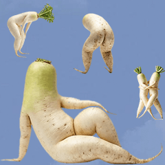 像人類的大根 實拍