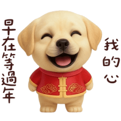 New Year's wayward Labrador