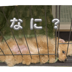 mitani_20251229190730