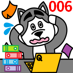 little husky QQ everyday life 006