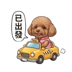 狗狗小小-機場接送篇