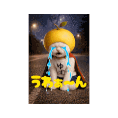 yuzuai_20251231010144