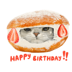 matatabi_20251229184955