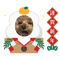 hitomin_20251230211808