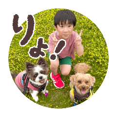 sakura_20251230233515