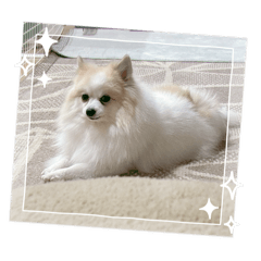 cocomoco_20251231084512