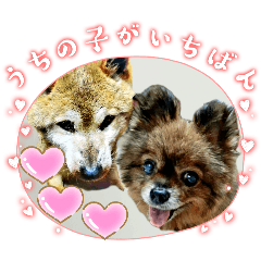 sakura_20251231015420