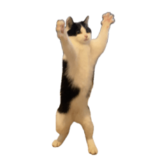 michan_20251231021648