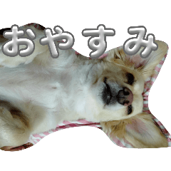 REI_20251230191212
