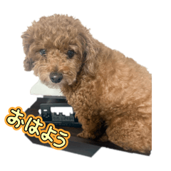 kemkmu_20251230222615