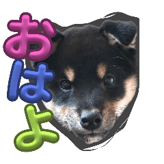 nonnon keep going_20251231005640