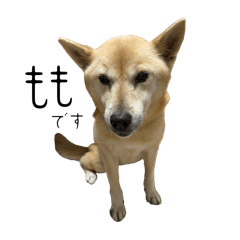 j_20251231090725