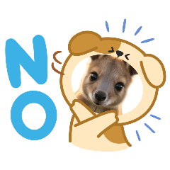 Stick With Me_20251230170530