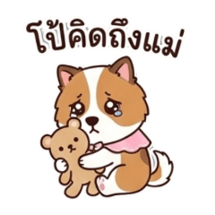 Mini Petto_20251230170111