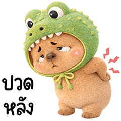 เจ้ากะปิหน้าบูดหัวจรเข้