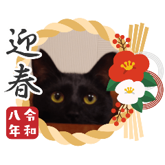 Shinya_20251231101937