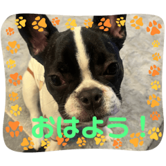 chunnan_20251231110126