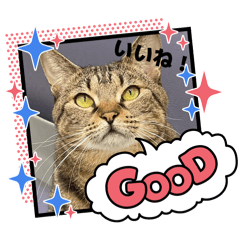 Mikorin_20251231105937