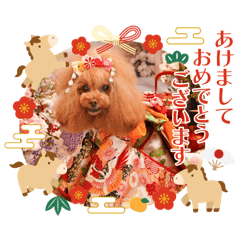 TANUKO_20251231105442