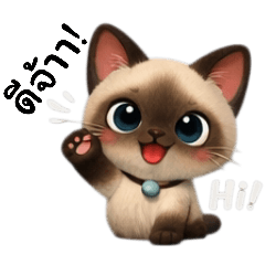 P. K. Shop_20251230215322