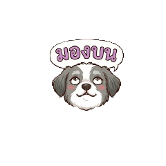 white_20251230215513