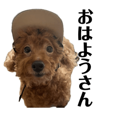 raichii_20251231003853